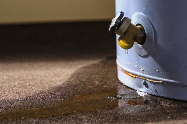 Best Flood restoration services  in Richland, MO