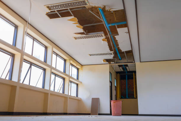 Best Professional water damage repair  in Richland, MO