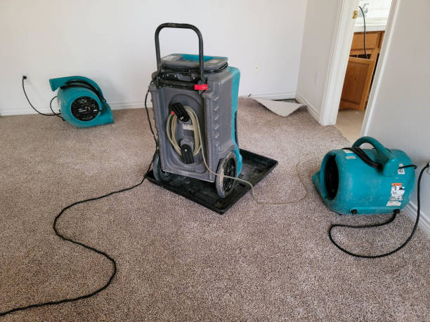 Best Water damage restoration near me  in Richland, MO