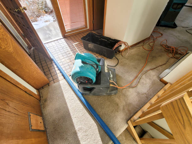 Best Water damage restoration specialists  in Richland, MO