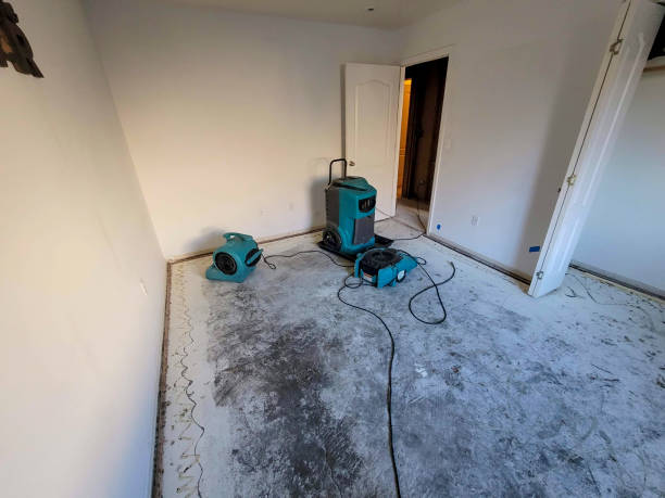 Best Basement water damage restoration  in Richland, MO