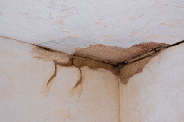 Best 24/7 water damage repair  in Richland, MO