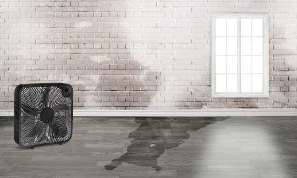 Best Sewage cleanup and water damage restoration  in Richland, MO