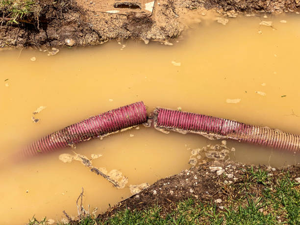 Best Sewage cleanup and water damage restoration  in Richland, MO