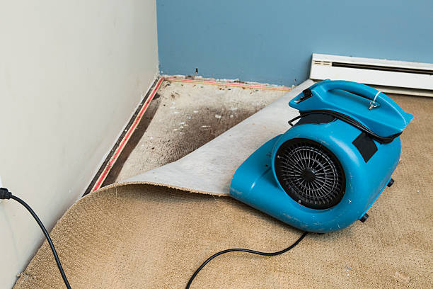 Best Flood damage cleanup  in Richland, MO
